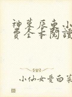 神墓辰东小说免费全本阅读