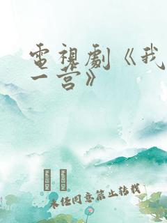 电视剧《我的特一营》