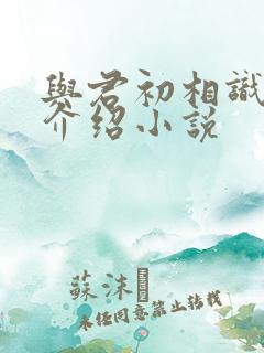 与君初相识剧情介绍小说