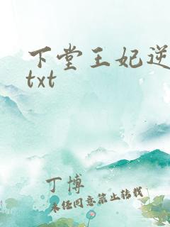 下堂王妃逆袭记txt
