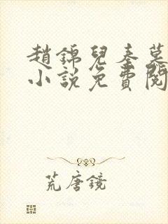 赵锦儿秦慕修的小说免费阅读全文