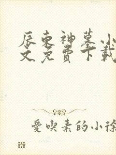 辰东神墓小说全文免费下载