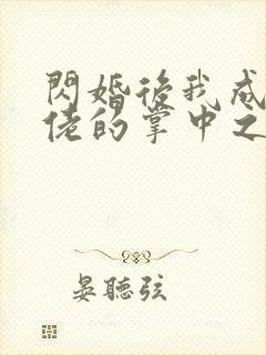 闪婚后我成了大佬的掌中之物全集完整版