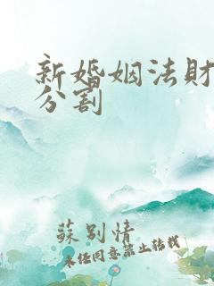 新婚姻法财产的分割