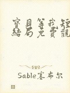 宝贝等我短剧大结局免费观看全集