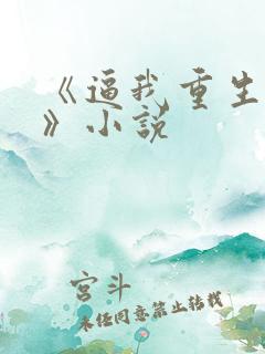 《逼我重生是吧》小说