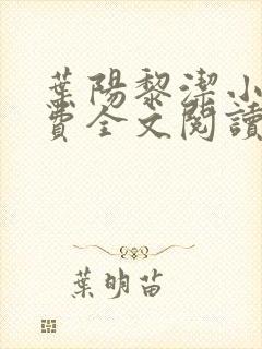 叶阳黎洁小说免费全文阅读