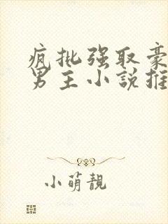 疯批强取豪夺双男主小说推荐