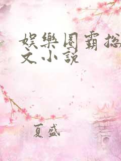 娱乐圈霸总甜宠文小说