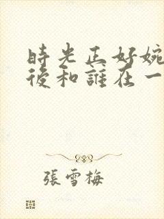 时光正好婉真最后和谁在一起了