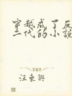 穿越成了反派富二代的小说叶枫