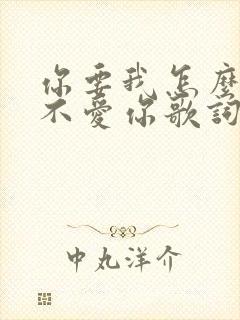 你要我怎么说我不爱你歌词