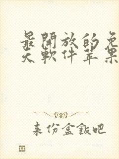 最开放的免费聊天软件苹果版