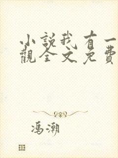 小说我有一剑叶观全文免费阅读