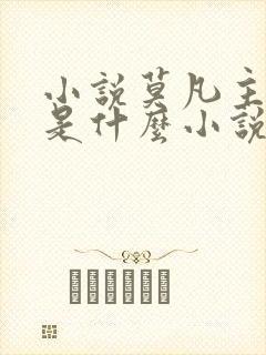 小说莫凡主角的是什么小说