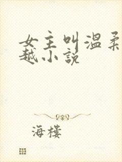 女主叫温柔的穿越小说