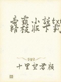 帝霸小说txt精校版下载