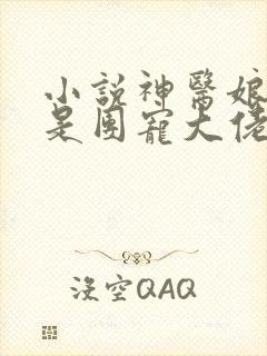 小说神医娘亲她是团宠大佬免费看