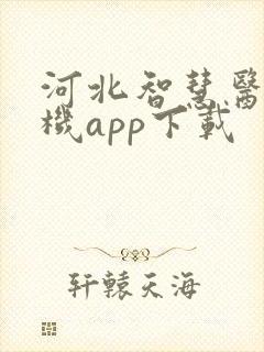 河北智慧医保手机app下载