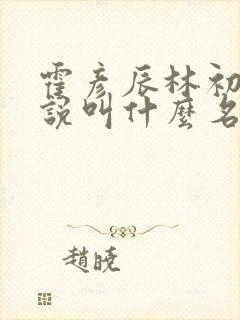 霍彦辰林初霁小说叫什么名字