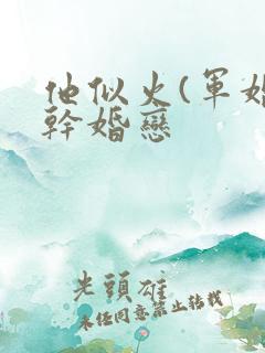 他似火(军婚高干婚恋