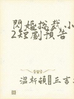 闪婚总裁小娇妻2短剧预告