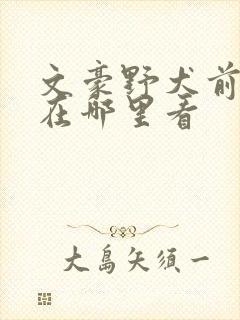 文豪野犬前两季在哪里看