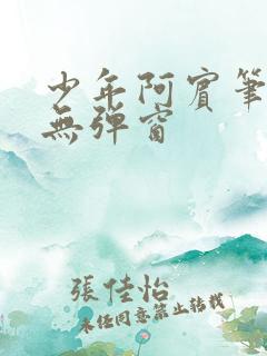 少年阿宾笔趣阁无弹窗