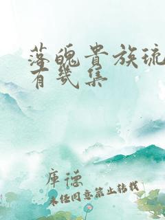 落魄贵族琉璃川有几集