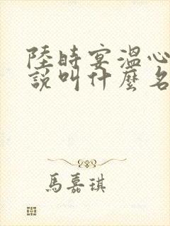 陆时宴温心的小说叫什么名字