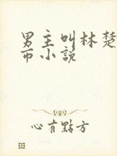 男主叫林楚的都市小说