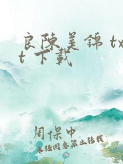 良陈美锦 txt 下载