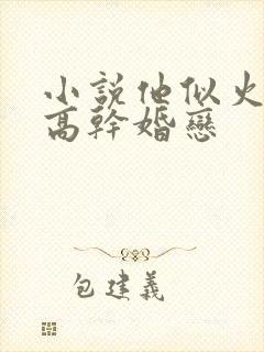 小说他似火军婚高干婚恋