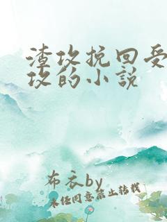 渣攻挽回受被反攻的小说