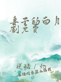 妻子的白月光短剧免费