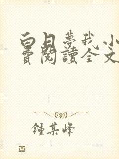 白日梦我小说免费阅读全文章节