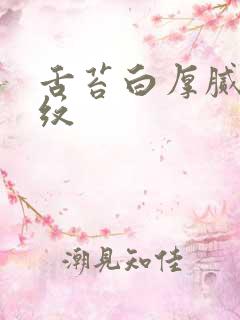 舌苔白厚腻有裂纹