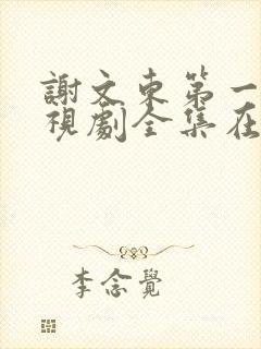 谢文东第一季电视剧全集在线观看