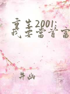 重生2001:我要当首富