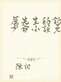 厉先生的钓系小少爷小说免费阅读