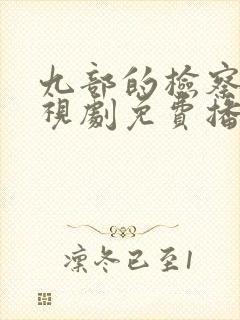 九部的检察官电视剧免费播放