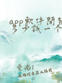 app软件开发多少钱一个月