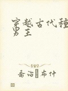 穿越古代种田双男主