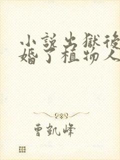 小说出狱后我闪婚了植物人大佬