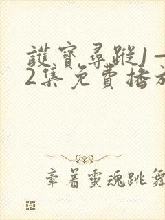 护宝寻踪1—42集免费播放