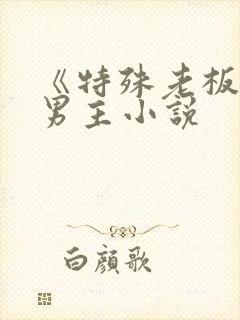 《特殊老板》双男主小说