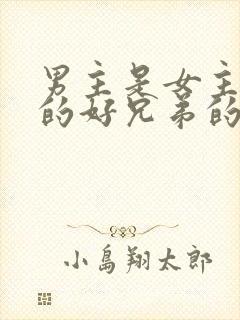 男主是女主哥哥的好兄弟的小说