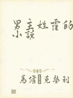 男主姓霍的全部小说