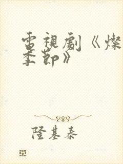 电视剧《灿烂的季节》