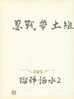 忍战带土组合技